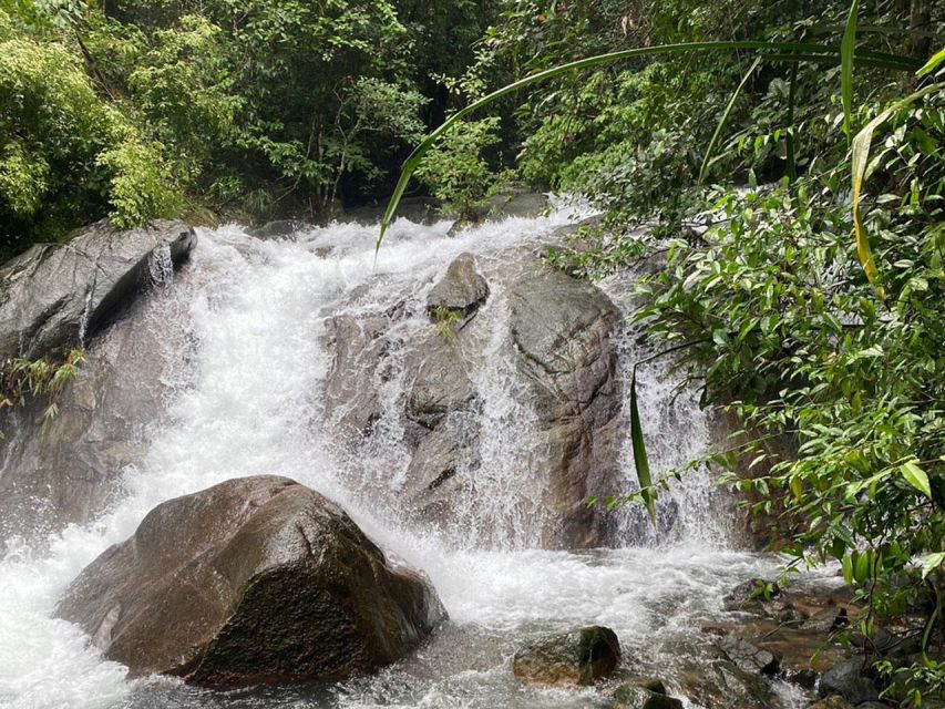 Phuket: Bamboo Rafting, Monkey Cave, and ATV Option - Bamboo rafting through calm water and mangroves