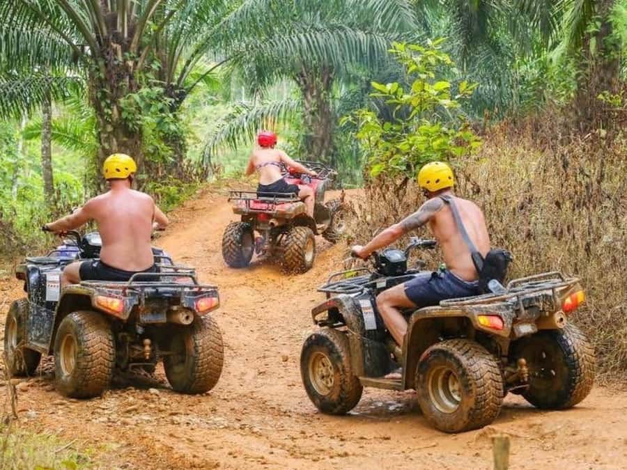 Phuket: Bird Park, Elephant Feeding, ATV Ride & City Tour - Quick take: what matters most