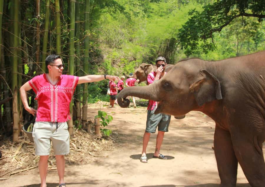 Phuket: Bird Park, Elephant Feeding, ATV Ride & City Tour - Chalong Temple: Phuket’s cultural center