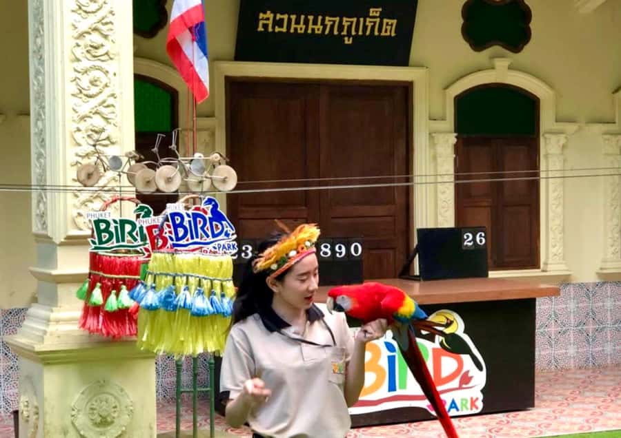 Phuket: Bird Park, Elephant Feeding, ATV Ride & City Tour - Phuket Old Town: the best place to slow down