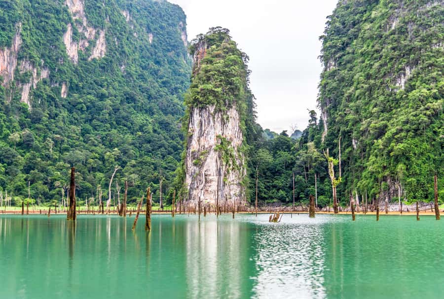 Phuket:Cheow Lan Lake & Kho-Sok,Bamboo Rafting,Monkey Temple - Bamboo Rafting on the Klong Sok River