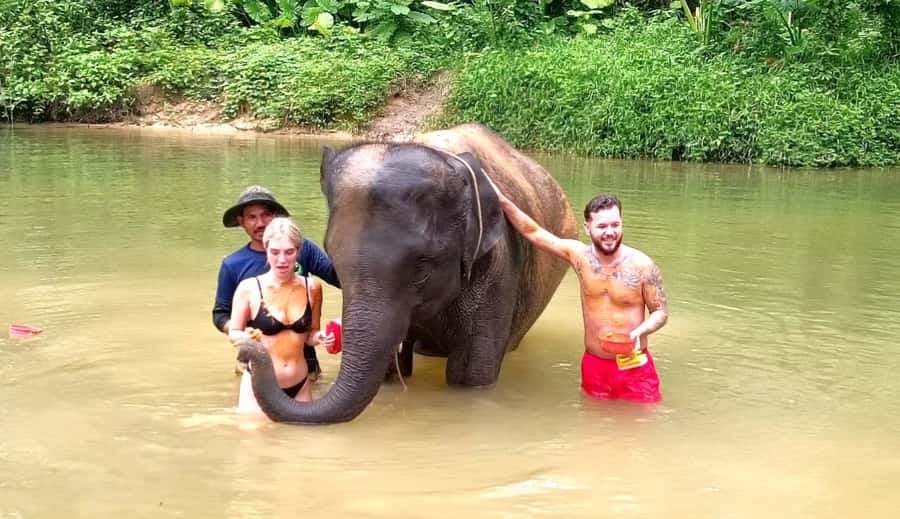 Phuket Ethical Nature Adventure: Rafting, Turtles & Elephant - The ethical elephant visit in Khao Lak