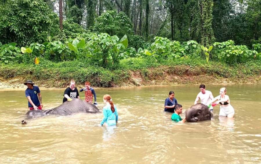Phuket Ethical Nature Adventure: Rafting, Turtles & Elephant - Making a Ya Dom herbal inhaler
