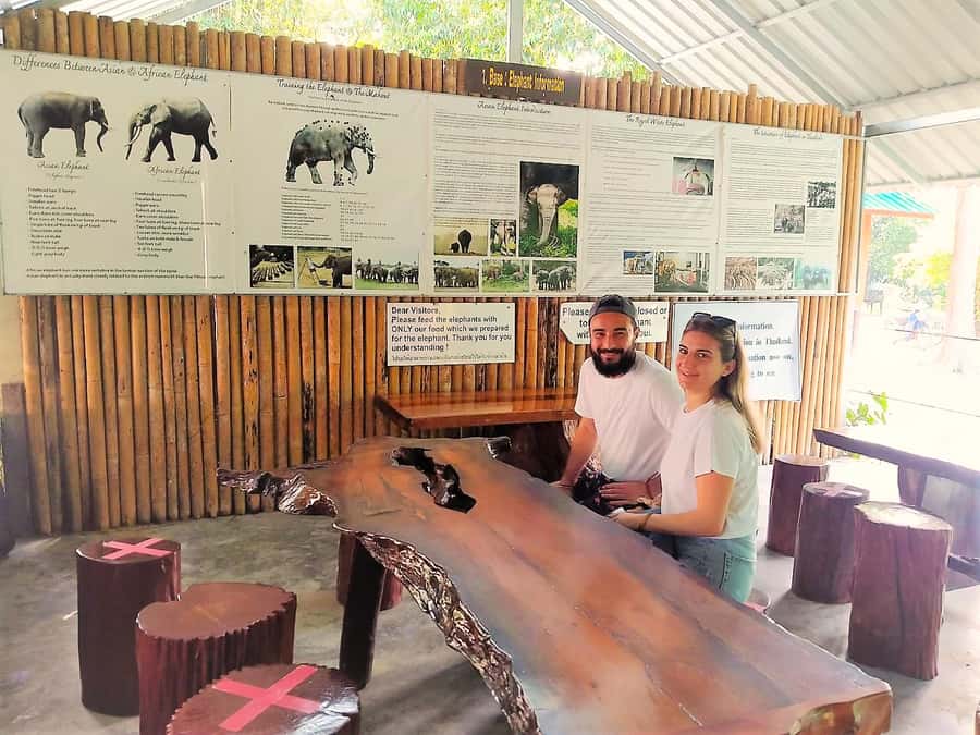 Phuket: Khao Sok Private Elephant Day Care and Bamboo Raft - Is $434 good value for up to three people?