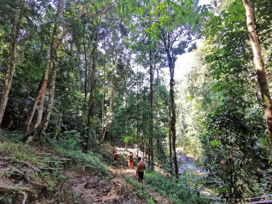 Phuket: Monkey Cave, Water Rafting, Zipline with ATV Option - Optional ATV ride: worth the upgrade?
