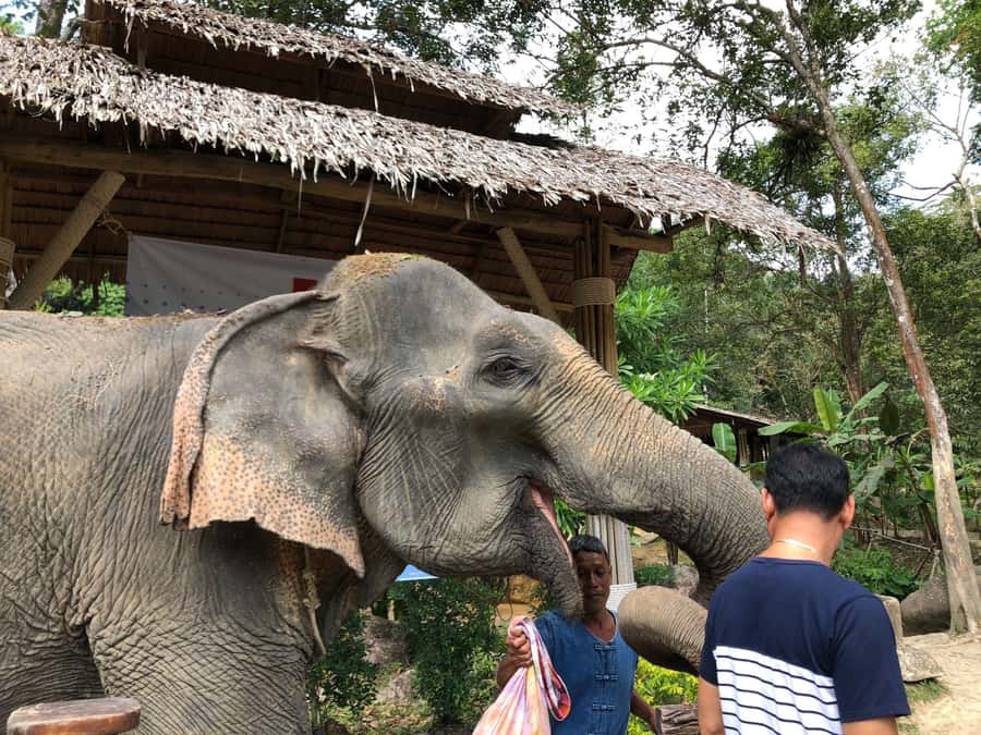 Phuket: White Water Rafting, Zipline, and Elephant Sanctuary - A muddy 30-minute ATV ride through Phang Nga