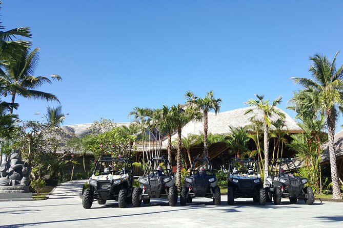 Premium White Water Rafting and Jungle Buggies in Bali - Who should book this experience?