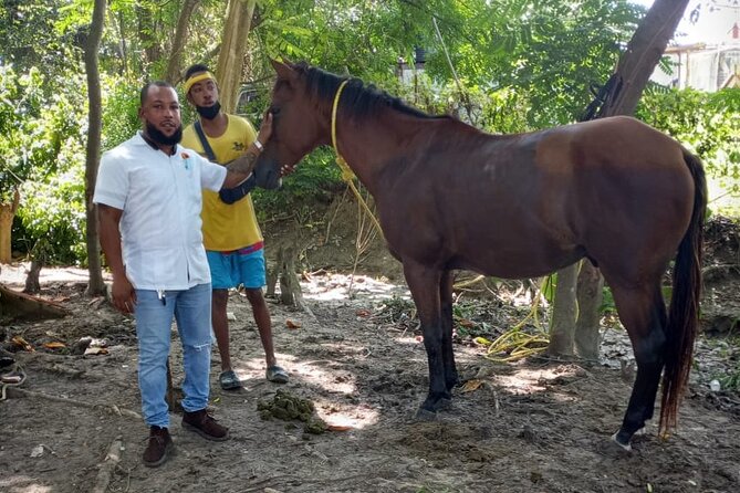 Private & Customize Tour to Martha Brae Rafting and Horseback Riding N Swim - A private day from Montego Bay