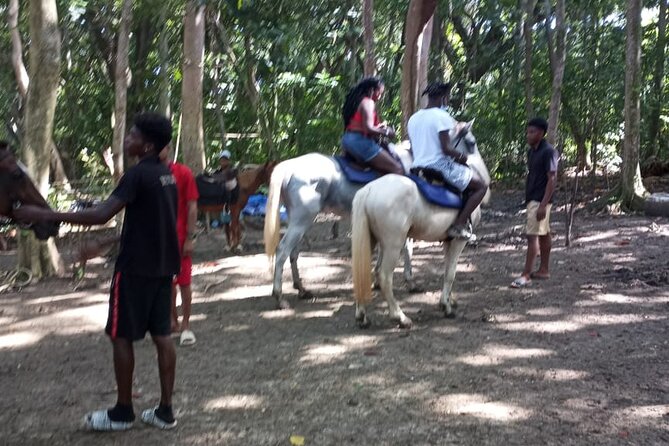 Private & Customize Tour to Martha Brae Rafting and Horseback Riding N Swim - Swimming and the value of variety