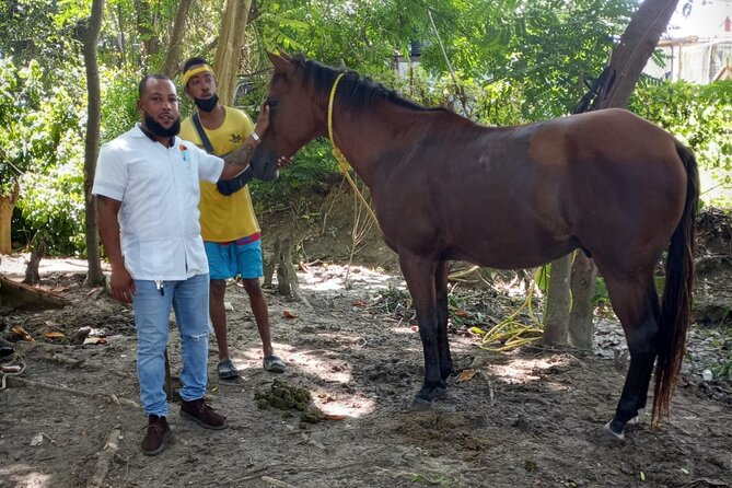 Private & Customize Tour to Martha Brae Rafting and Horseback Riding N Swim - Price and what the $245 covers