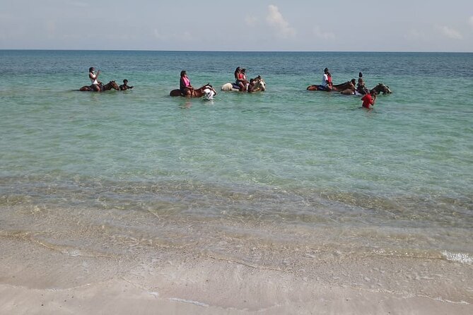 Private & Customize Tour to Martha Brae Rafting and Horseback Riding N Swim - Booking, cancellation, and practical questions