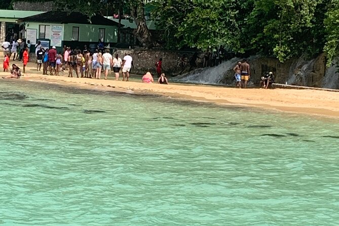Private Dunn's River and Bamboo Rafting Combo from Ocho Rios - Who will enjoy this tour most