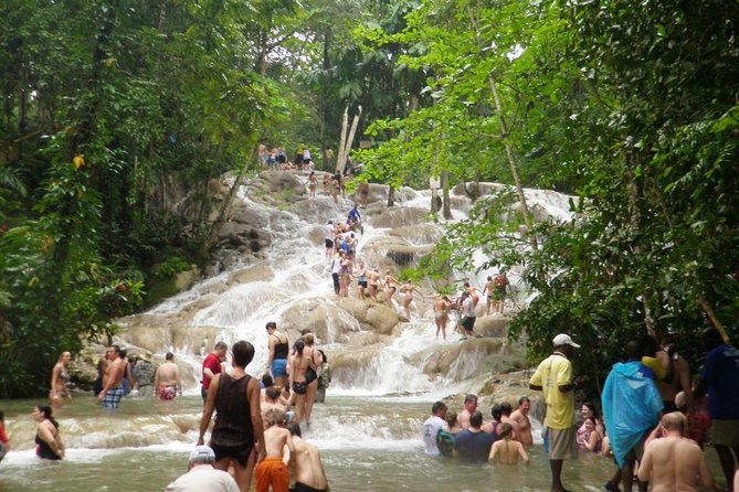 [PRIVATE]Dunn's River & Martha Brae Rafting - Entrance & Lunch - Key points to know before booking