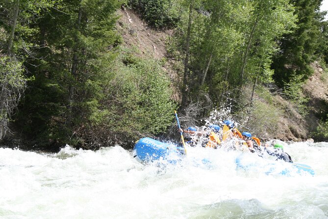 Raft the Blue River Rare Gem of Colorado Closest to Breckenridge - Five Miles of Forest, Pasture, and Rapids