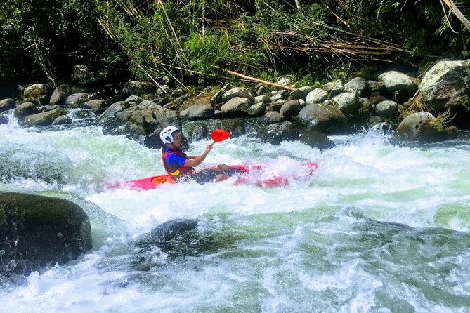 Rafting - The tropical forest base and Sisters Basin view