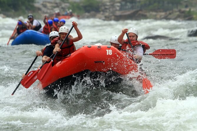 Rafting Activity From Beirut, Lebanon - Rafting Training Before the Assi River