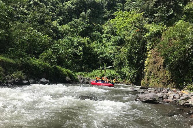 Rafting Adventure 18 km and Balinese Village Life Tour with Lunch - Who should book this experience?