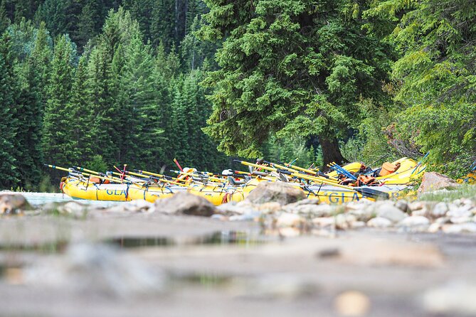 Rafting Adventure on the Kicking Horse River - The Full-Day Option and BBQ Lunch