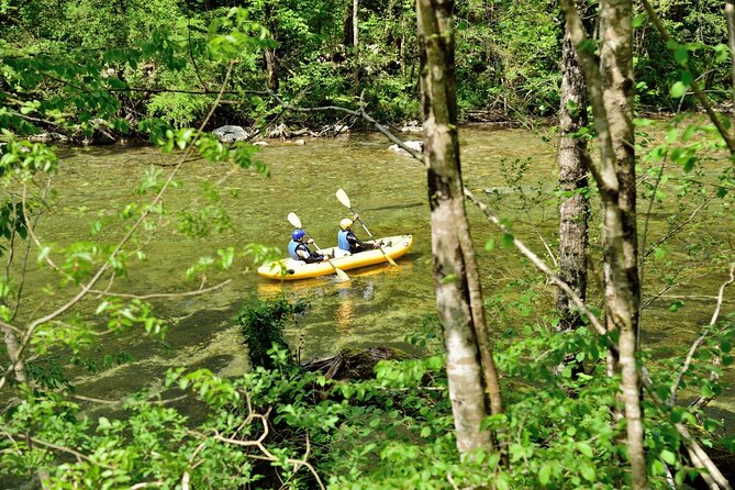 Rafting and Kayaking Adventure in River Kupa - What the €60.21 Price Really Covers