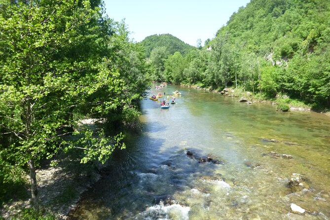 Rafting and Kayaking Adventure in River Kupa - Booking Advice and Cancellation Rules