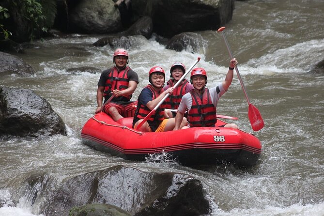 Rafting at Ayung River(Include Return Hotel Transportation) - Key points at a glance