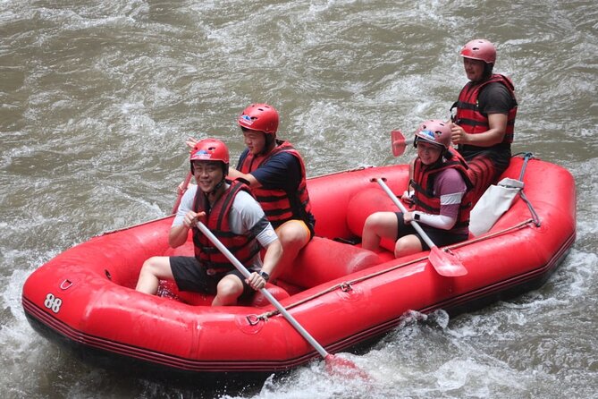 Rafting at Ayung River(Include Return Hotel Transportation) - What the 12-kilometer rafting route is like