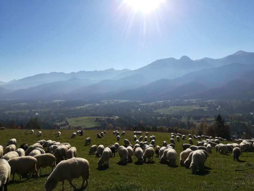 Rafting on Dunajec & Zakopane Tour – Day Trip from Krakow - Rafting the Dunajec for 2.25 hours