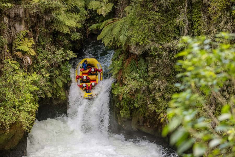 Rafting Rotorua: Kaituna River White Water Experience - Fourteen rapids through native forest