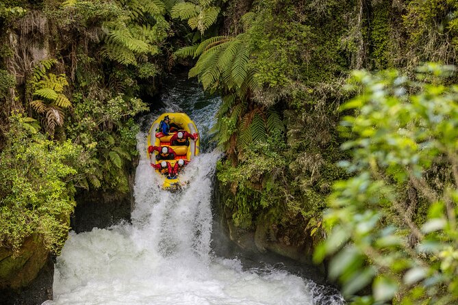 Rafting Rotorua Kaituna White Water Rafting | Kaitiaki Adventures - Why the Kaituna River makes a fine Rotorua adventure
