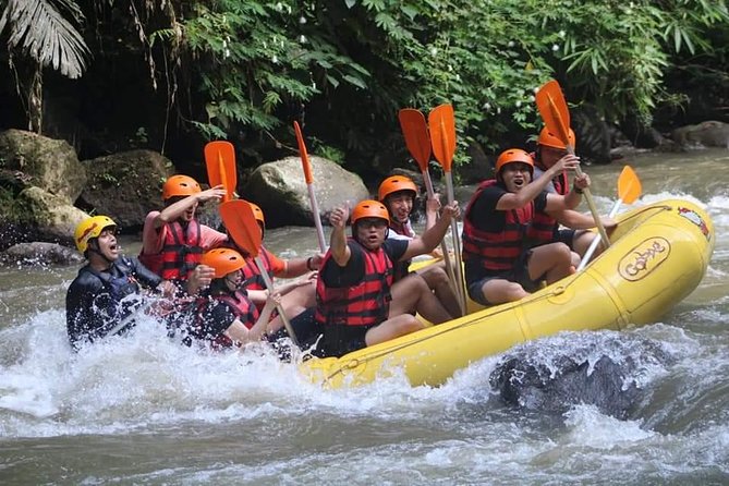 Rafting Swing Monkey Forest And Waterfall Tour All Inclusive - What this Bali day combines