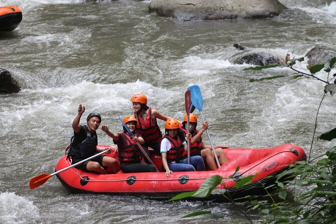 Rafting Swing Monkey Forest And Waterfall Tour All Inclusive - Ayung River rafting near Payangan