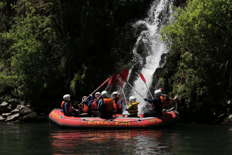 Rangitaiki Rafting Grade 2 - What the day costs at $117