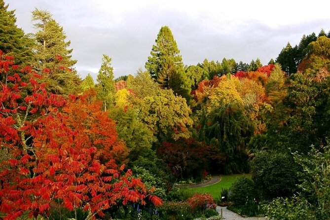 Rangitaiki River White Water Scenic Rafting from Rotorua - The scenery is the real reward
