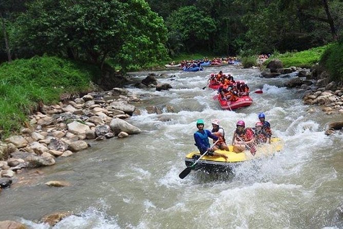Real Adventure Tour: Whitewater Rafting and ATVs - A short stop at Wat Suwan Kuha