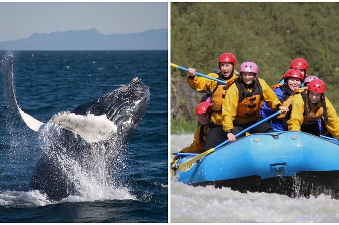 Reykjavik Whales & White Water Rafting Adventure - From Sea Spray to Arctic Rafting