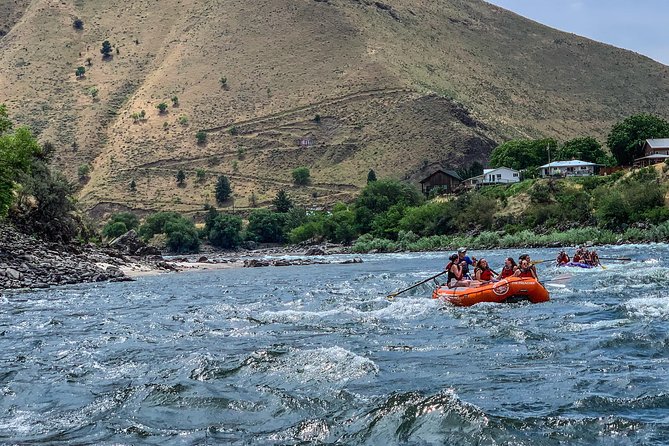 Riggins Idaho half-day rafting trip on the Salmon River - A pause for swimming, snacks, and rock skipping