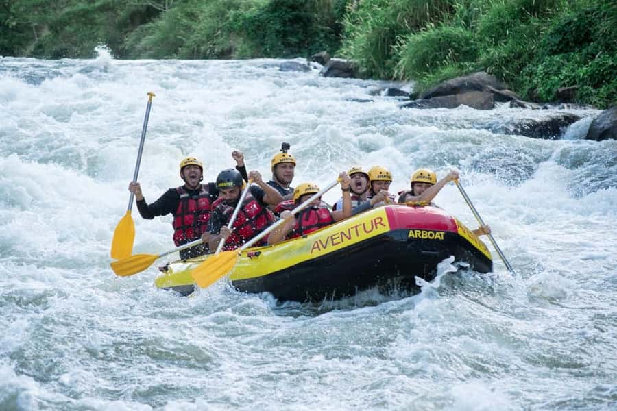Rio: White Water Rafting Adventure tour in Rio de Janeiro - Atlantic rainforest views between the rapids