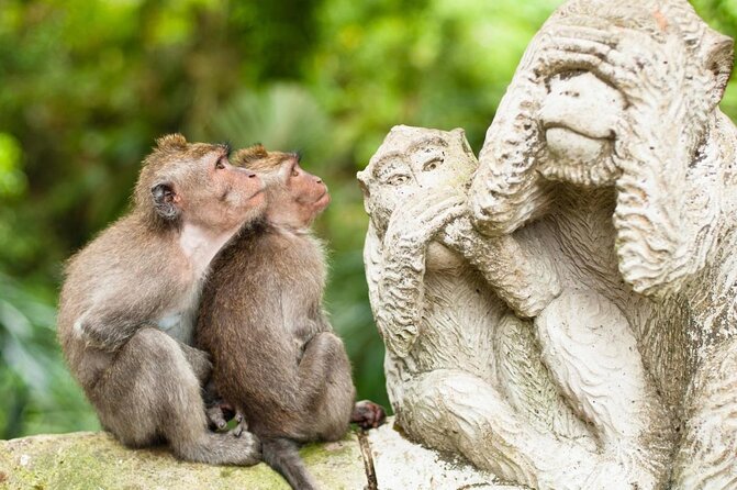 River Rafting Down the Ayung and Sacred Monkey Forest - Five things to know before you book