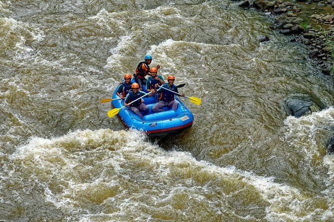River Rafting Down the Ayung and Sacred Monkey Forest - The Ayung River is the main event