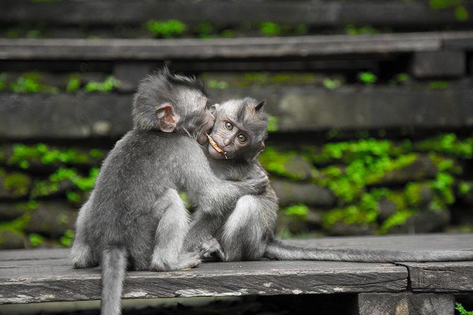 River Rafting Down the Ayung and Sacred Monkey Forest - Balinese lunch gives the day a needed pause
