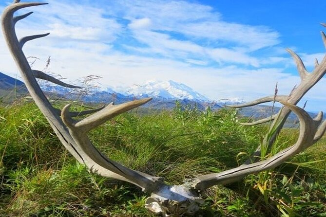 River Rafting in Alaska Wilderness - Guides who add much more than directions