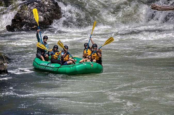 Rogue River Half Day Whitewater Trip Nugget Falls - A scenic pause between the splashes