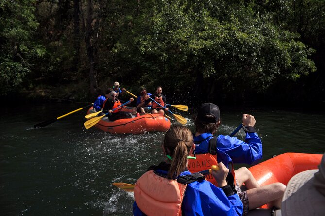 Rogue River Whitewater- All Day Rafting & Kayaking Adventure - Starting in Ashland and Getting on the Water