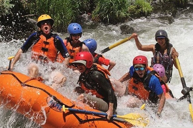 Rogue River Whitewater Rafting- Mid Day - Wildlife, swimming, and the view from the raft