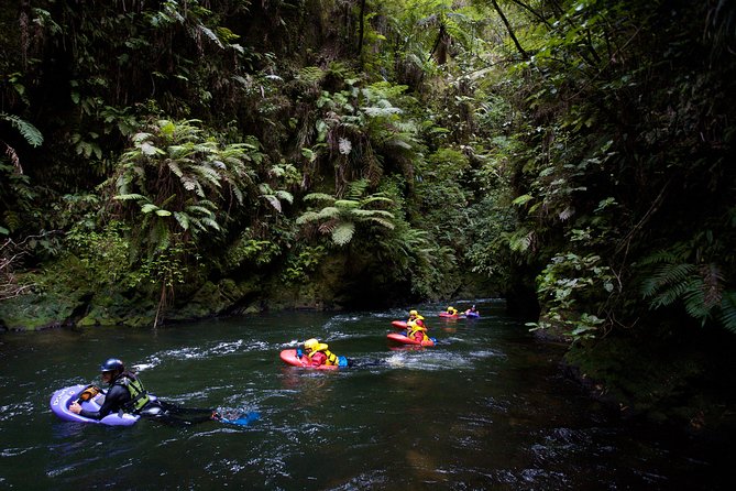 Rotorua Sledging White Water Sledging | Kaitiaki Adventures - From Rotorua to the Okere River