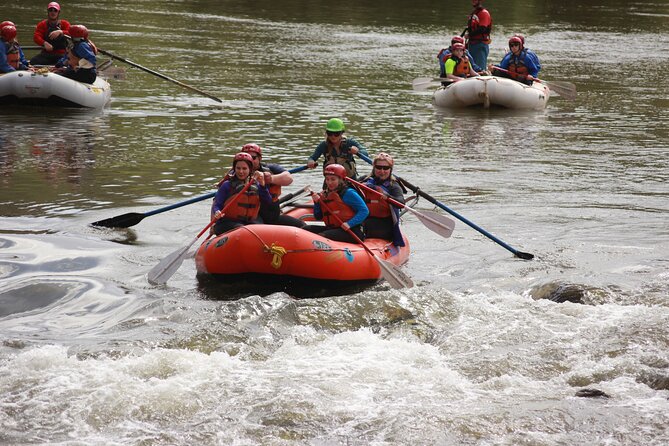 Salt River Half-Day Whitewater Rafting Adventure - The return from the river