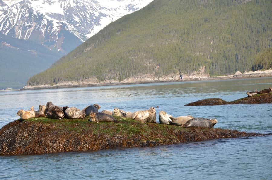 Skagway: Ocean Raft Adventure Along Scenic Coastline - The first run across Lynn Canal