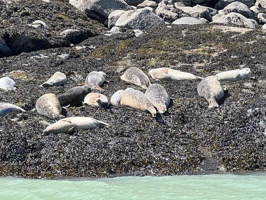 Skagway: Ocean Raft Adventure Along Scenic Coastline - Tips for getting better photographs