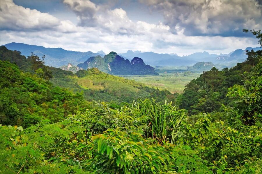 Sok River: Bamboo Raft Ride, Monkey Temple & View Point Tour - Who will enjoy this half-day trip?