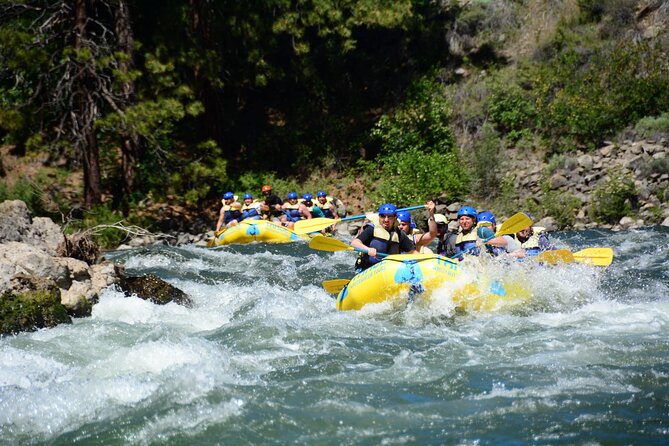 South Fork, American River: Chili Bar (Class III+ Whitewater) - The guide can make or break a rafting day